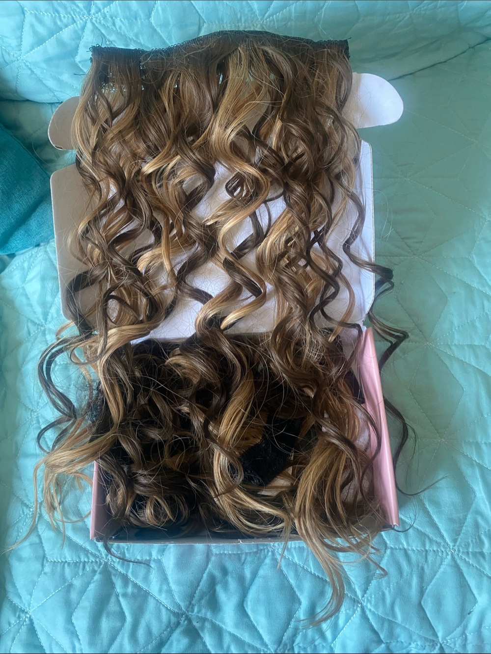 Wavy Clip-In Hair Extensions - Light Brown Blonde Highlights